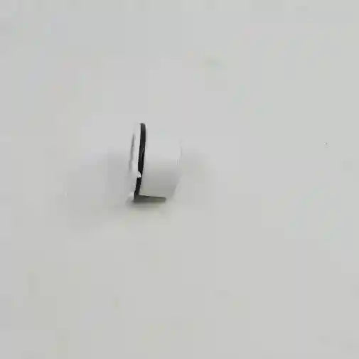 Thetford Push Button for Toilet Access Door