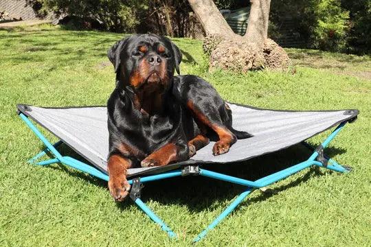 Navigator Gear Navi Dog Bed Large Up to 70Kg - Everything Caravans