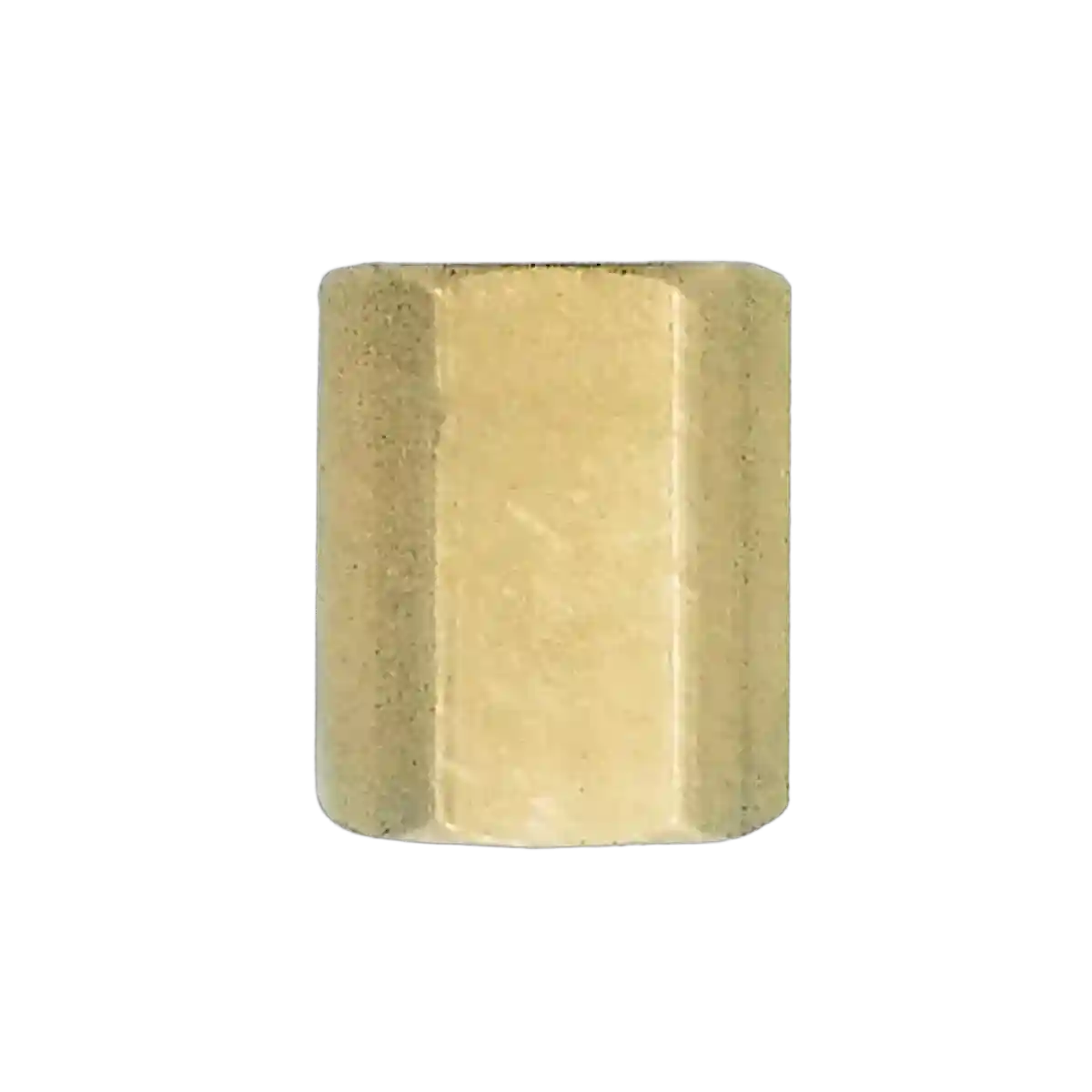 Companion Adaptor 1/4" BSP Female Hex Socket