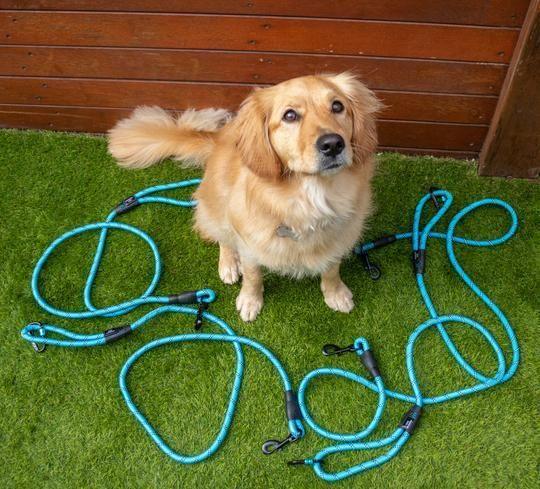 Navigator Gear Dog Leash Buddy - 1.5 Metre - Blue - Everything Caravans