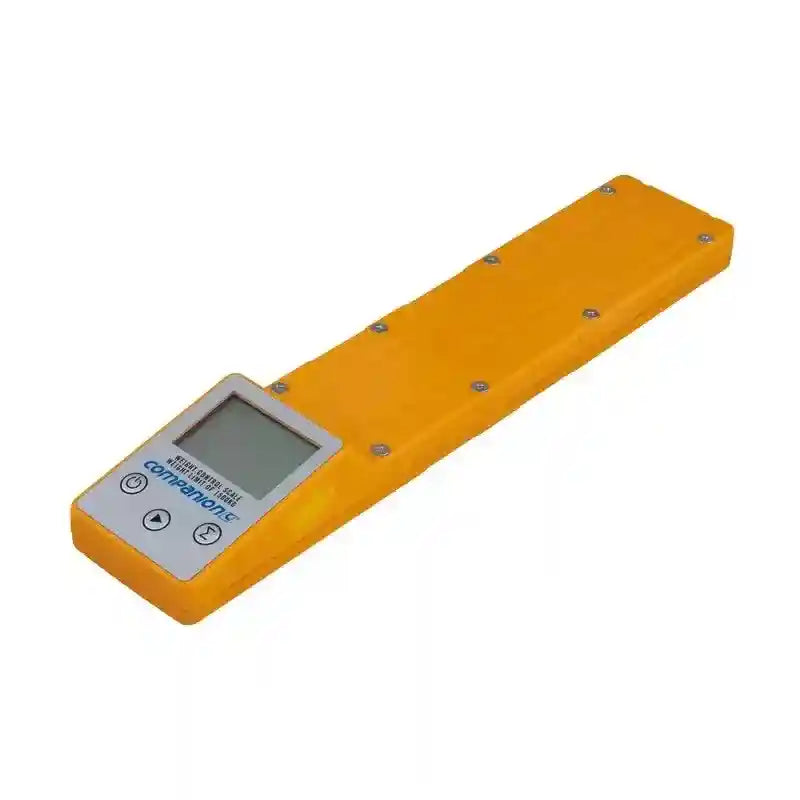 Companion Caravan Digital Weight Control Scale