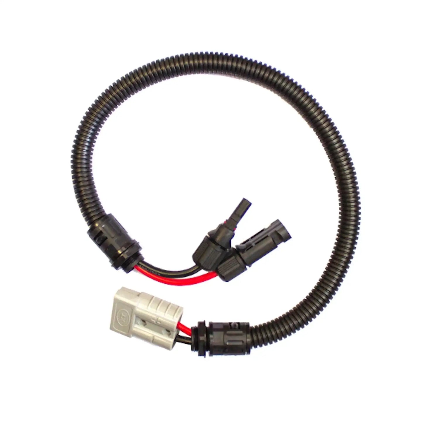 50A Plug to Solar Plug and Socket - 600mm - Everything Caravans