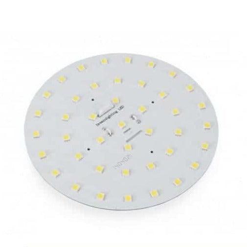 42 Led Round Replacement Globe 12v Cool White - Everything Caravans