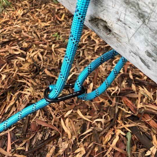 Navigator Gear Dog Leash Buddy - 1.5 Metre - Blue - Everything Caravans