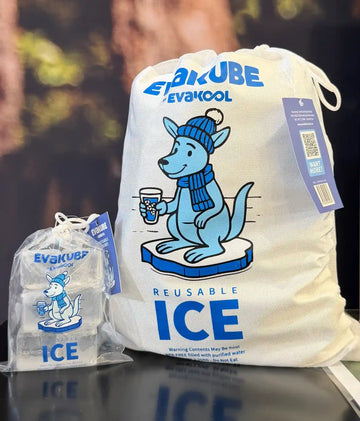 EvaKool EvaKube Reusable Ice Cubes - 6 Pack