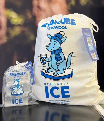 EvaKool EvaKube Reusable Ice Cubes - 6 Pack