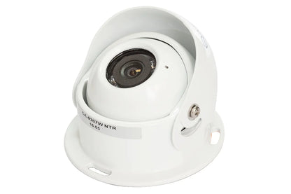 SafetyDave Reversing Camera Kit 3.5inch Dash Monitor with White Eyeball Camera