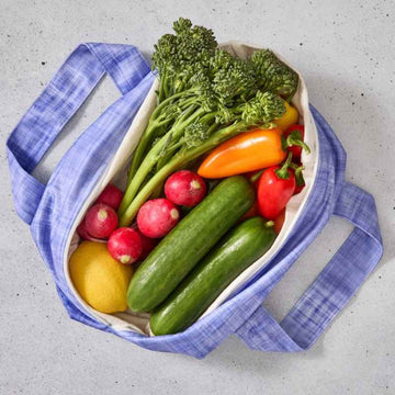 Produce Pod - Reusable Veggie Bag for Fridge - Plum