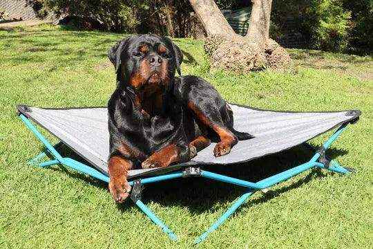 Navigator Gear Navi Dog Bed Large Up to 70Kg - Everything Caravans