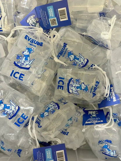 EvaKool EvaKube Reusable Ice Cubes - 6 Pack