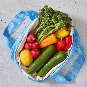 Produce Pod - Reusable Veggie Bag for Fridge - Blueberry