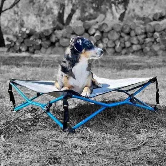 Navigator Gear Navi Dog Bed Grey Blue Small