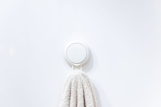 Companion Suction Hook