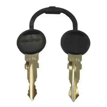 Thetford Keys for Zadi Access Doors 9001 - Everything Caravans