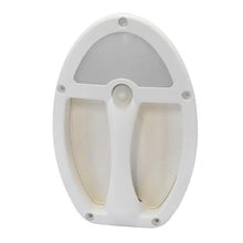 Coast Teardrop Led Assist Handle with 12v Light White - Everything Caravans