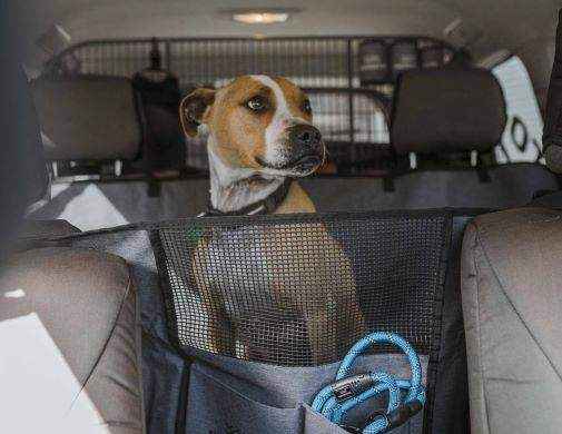 Navigator Gear Dog Seat Buddy and Free Leash - Everything Caravans