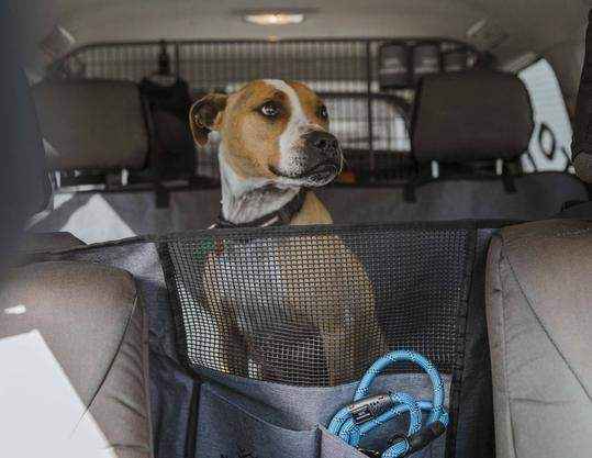 Navigator Gear Dog Seat Buddy - Car Seat Protector - Everything Caravans