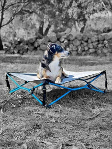 Navigator Gear Navi Dog Bed Grey Blue Up to 70Kg - Everything Caravans