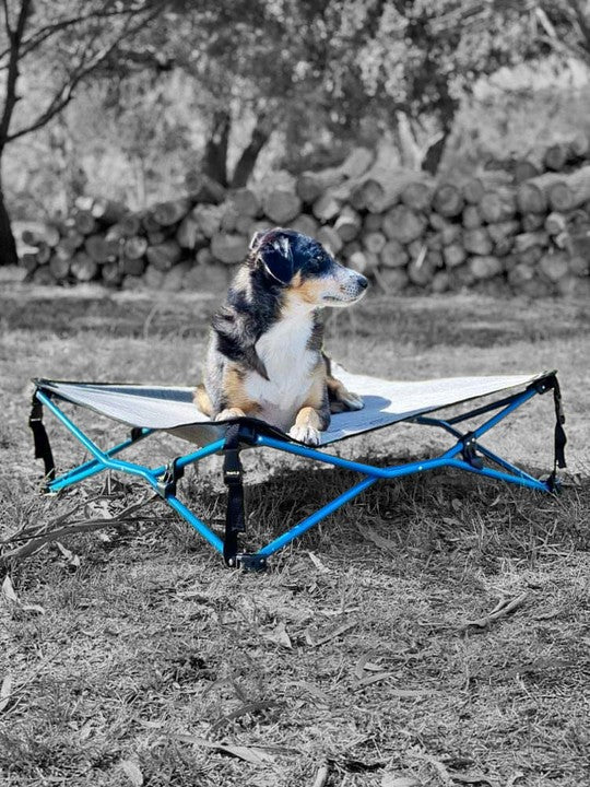 Navigator Gear Navi Dog Bed Grey Blue up to 70kg Navigator Gear